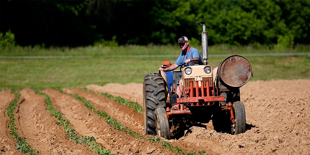 Aposentadoria Rural